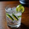 Gin z tonikiem
