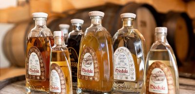 Butelki Mioduli Mundivie – różne warianty trunku na bazie miodu