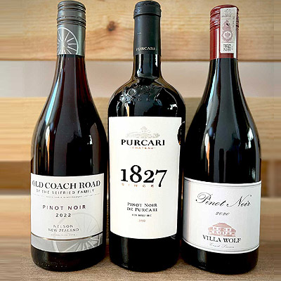 Szczep Pinot Noir Pinot Noir szczep winorośli